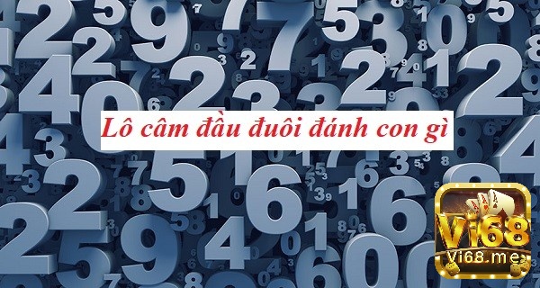 Cách quản lý vốn hiệu quả khi xác định đầu lô câm đánh con gì?
